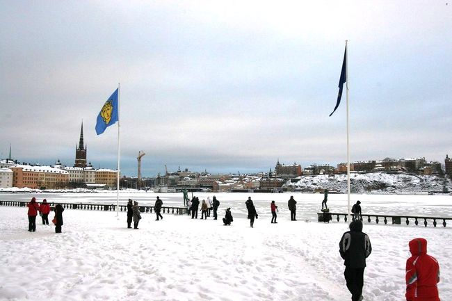 市庁舎ツアーが始まるまでは市庁舎周辺を散策しながら待機。