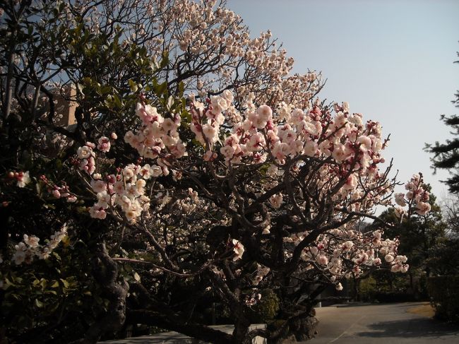 ２０１１年２月２６日。<br />