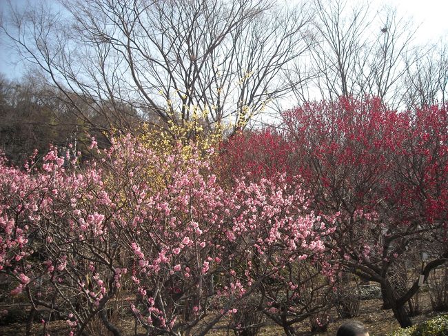 色々な色が混じって、とっても奇麗！