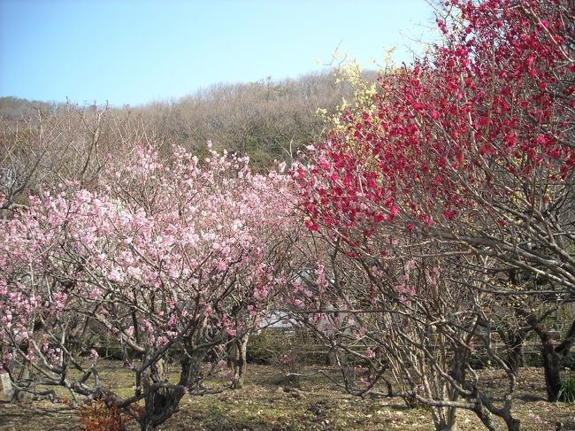 ２０１１年２月２６日。<br />