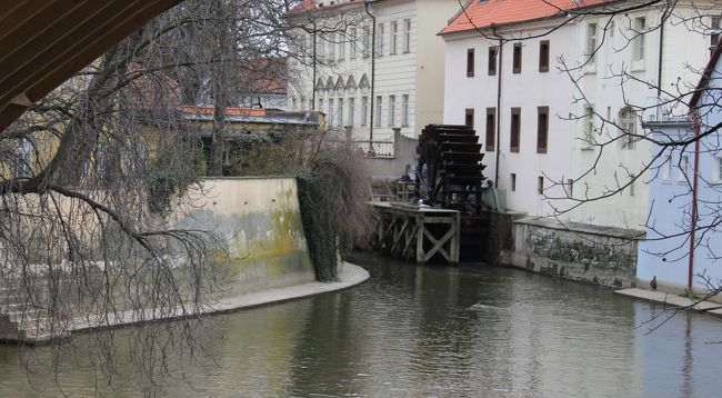 こんな所に水車が（´ω｀）