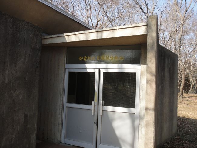 「加曾利北貝塚断面層」へ！