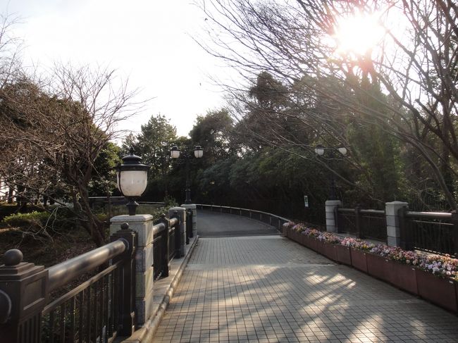 梅園を後に、次は「生態園」へ向かいます。