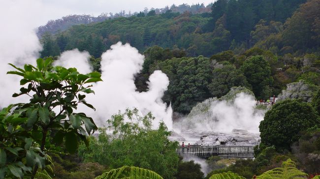 ファカレワレワ（Ｗｈａｋａｒｅｗａｒｅｗａ）の地熱帯に到着。<br />バス車中からのボフツ間欠泉の様子です。