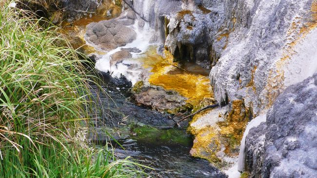温泉の湯の華と硫黄が混じり、独特の風景となっています。