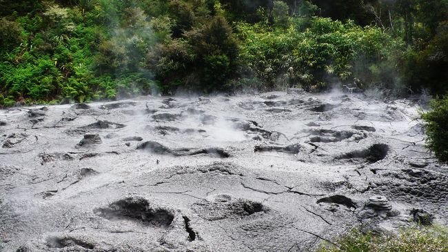 遊歩道の傍には、このような泥泉が何か所かある。<br />別府の坊主地獄のような所で、粘度が高いので動きが少なく、面白味が無い。<br />この泥を原料に石鹸等が作られ販売されています。