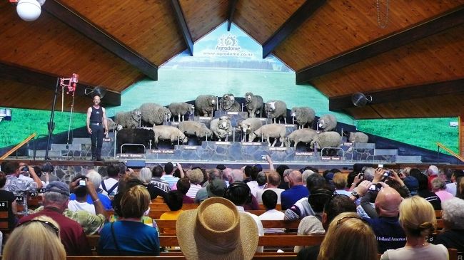 アグロドーム（観光牧場）の見物で、シープショーのみの入場です。<br />全天候型ドーム内で、説明は座席のイヤホンで聞きます。<br />ショーの司会者合図で、次々と各種の羊が壇上へ繋がれます。<br />