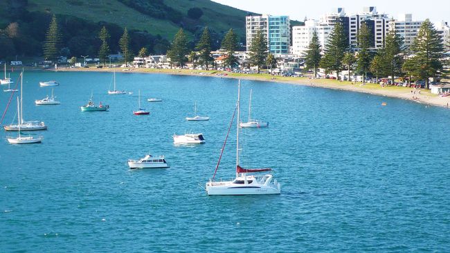 船上から眺めたタウランガの海と砂浜と町並みの一部。