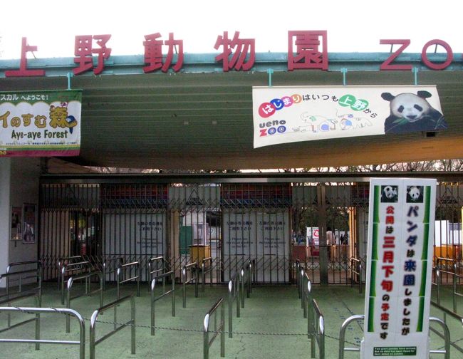 『上野動物園 パンダ来園/公開前のひととき ☆トラ・ライオン ...