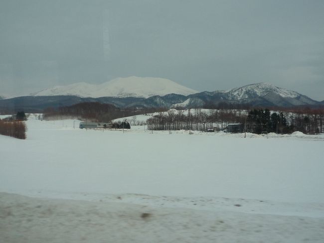 羅臼岳でしょうか。