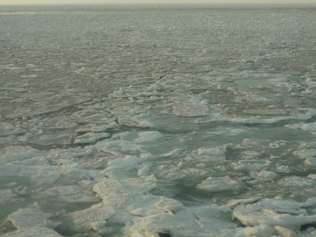 夕陽があたってとても綺麗です。