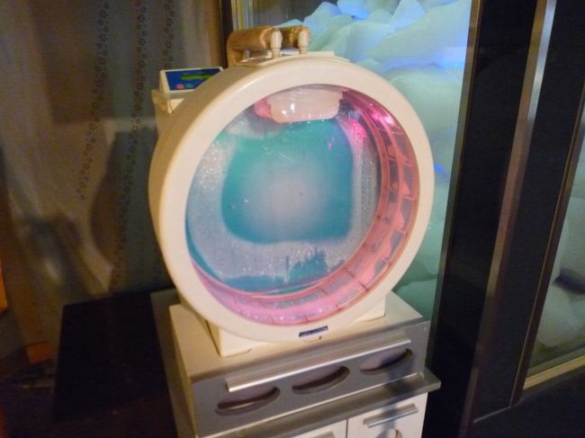 クリオネの水槽。