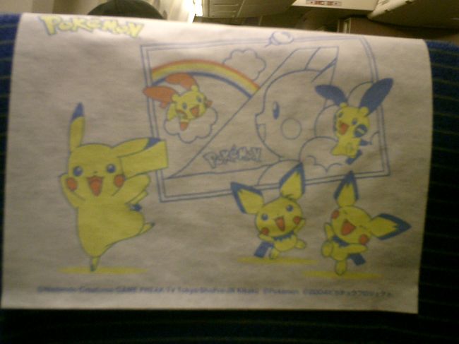 見たことはあったのですが、初めて「ポケモンジェット」に搭乗しました。ヘッドカバーもポケモンなんですね♪<br /><br />子供がいたらもって帰ってたかも♪