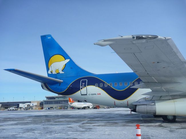 シロクマの飛行機！かわいい！シンボル的シロクマ！