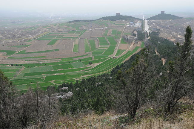 乾陵の北峰のてっぺんから見る春景色がこんなにいいんですよ。<br />画像をクリックして元画像で見てみると拡大されます。<br /><br />これまで歩いて来た方向の司馬道や御道、闕楼を乗せた二つの乳峰がよく見えました。<br />この画像だと、北方向から南方向を見る形になっているので、左手が東乳峰闕楼、向かって右手は西乳峰闕楼になります。<br /><br />周辺の畑地も緑に染まり始めていい眺め。(*^。^*)<br />歩いてここまで来た甲斐があったと思ったSUR SHANGHAI。