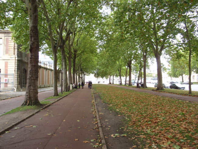 秋初旬の雰囲気ですね。