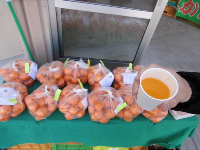 パーク七里御浜にて<br />みかんジュース