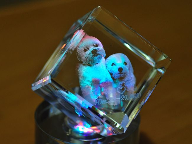 <br />帰国後自宅で撮影<br /><br />上記のクリスタルフォトです。モバイルＰＣと<br /><br />フラッシュメモリーを持ってたので<br /><br />フラッシュメモリーよりデータ転送<br /><br />ＬＥＤで交互３色変わる台も買った方がイイです