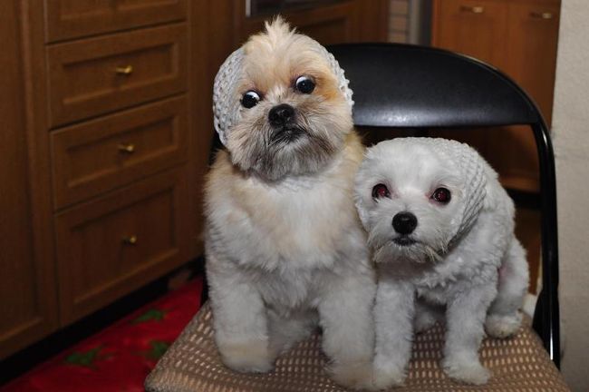 ♪訪問ありがとう<br /><br />１０日間も２人にして〜(^_^.)　参った！<br /><br />この写真がクリスタルフォトになるとは・・<br /><br />食物のが良かったなぁ〜<br /><br />ラスベガス２０１０・１〜４まで『完』