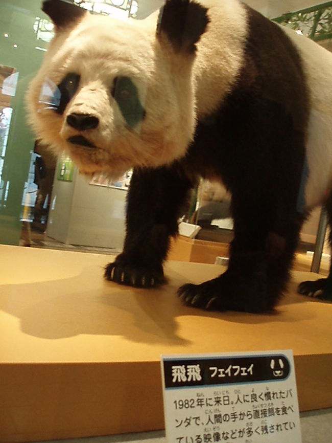 Amazon.co.jp: 上野動物園 パンダ ぬいぐるみ Z : おもちゃ