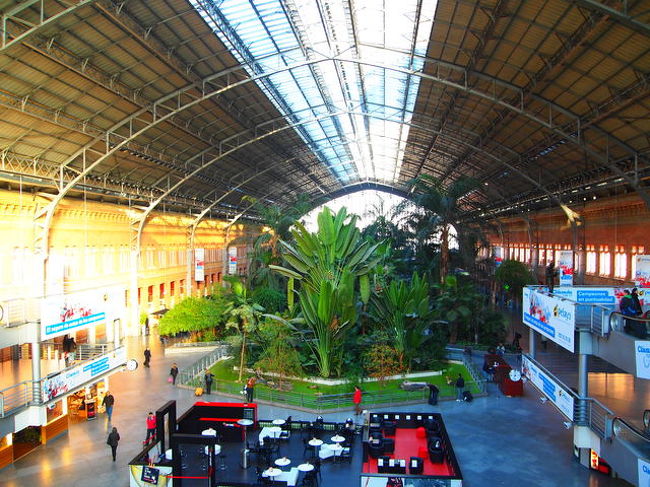 マドリッドアトーチャ駅　植物園？が有名だそうです＾＾