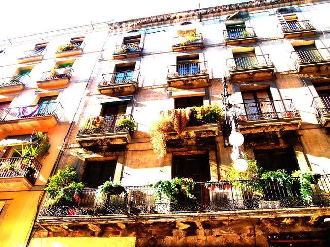 緑が多くて本当におしゃれ**