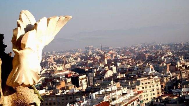 エレベーターで昇って上部へ！ハトの彫刻とバルセロナの町並み