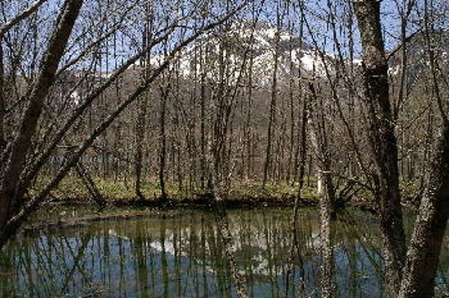 木立の中の池に映る焼岳。<br />