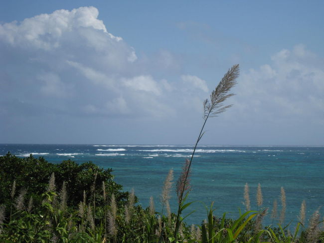 沖縄の海はきれいですね。