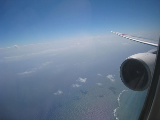 あまりの気持ち良さに隣の主人爆睡。<br />いびきかいてんじゃねぇよ！（爆）<br />