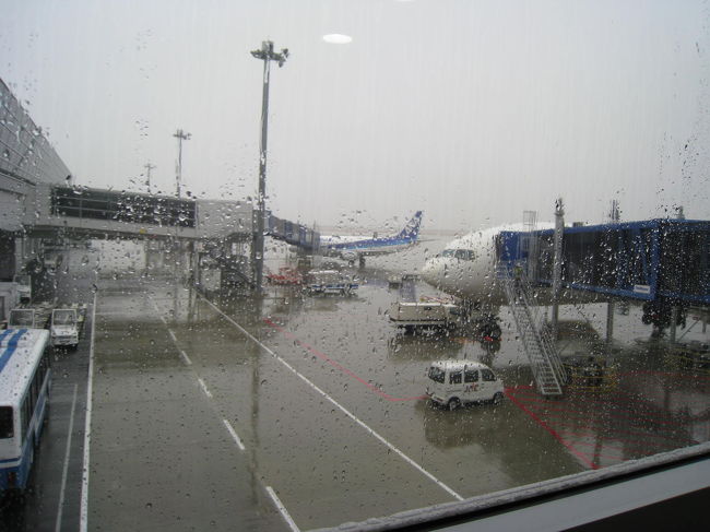 最高温度２５℃から１０℃の世界に帰ってきました。<br />天候は雨。気温とともにテンション、クールダウンです。<br /><br />海で泳ぐ事は出来ませんが、冬の沖縄良かったです。<br />（がんばれば、泳げそうな気もしますが・・・）<br />三度沖縄旅行記ＵＰ出来たらいいですね。<br />夏の沖縄もいってみたいな〜。