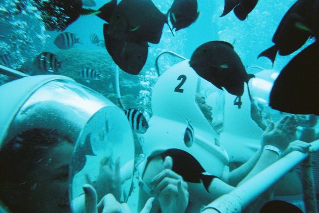 たくさんの魚〜