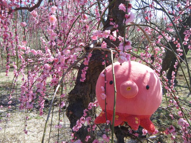 すごい　景色に馴染んでるよ・・・