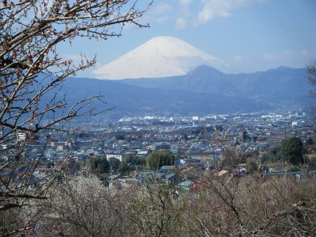 すんばらしい眺め・・・<br />癒されます。