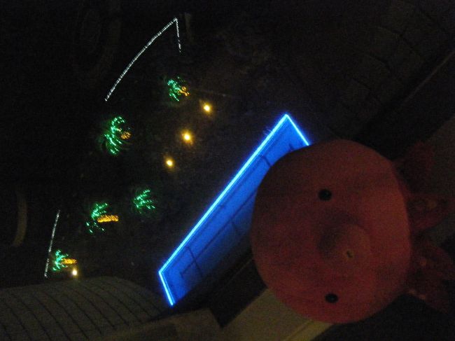 ちょっとした　イルミネーションもあります。