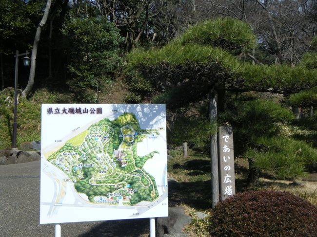 近くの公園に　よって見ました。<br />大磯の歴史資料館もあって、見学できました。<br />タコ妻は、楽しめました。