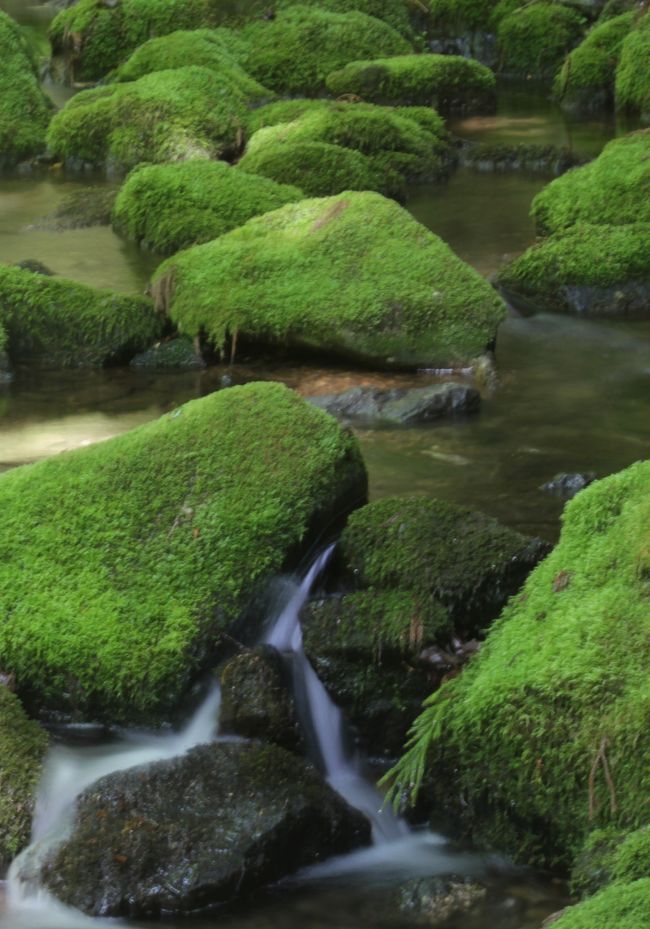 森の京都 綾部奥上林散策 旅行記`京都丹波高原国定公園` Kyoto Tamba Kogen Quasi-National Park