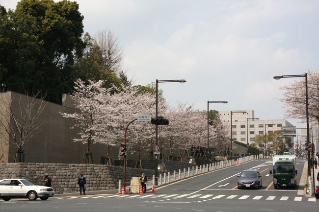 小さな旅 霞が関・愛宕山の桜 View of sakura in Kasumigaseki/Atagoyama
