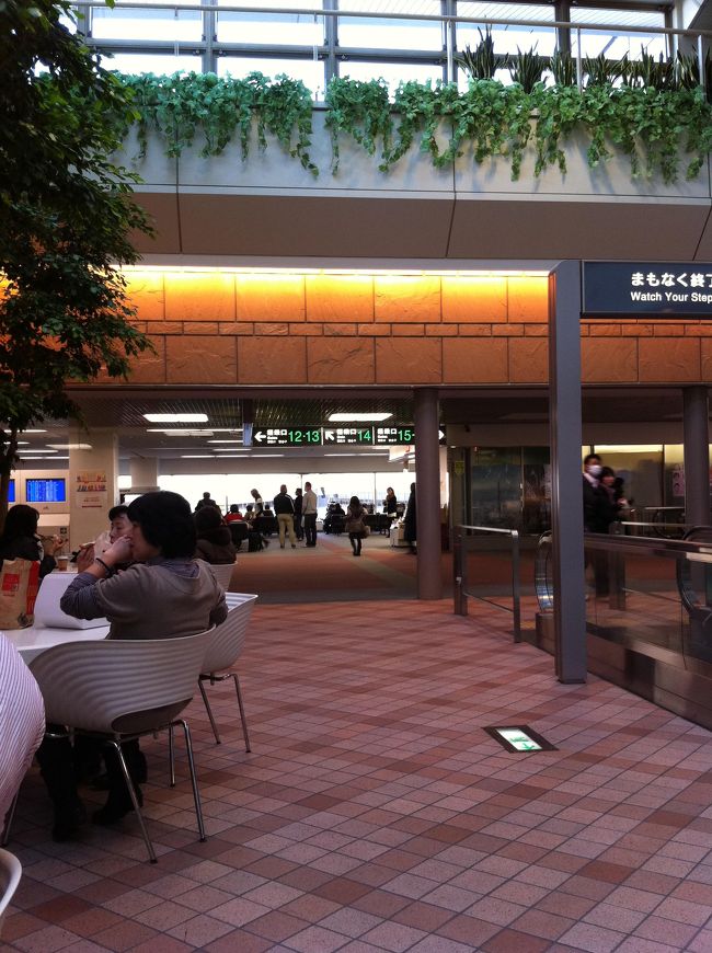 今回物心づいて初めて羽田の第一ターミナルを使いました。<br />ちょっと新鮮。