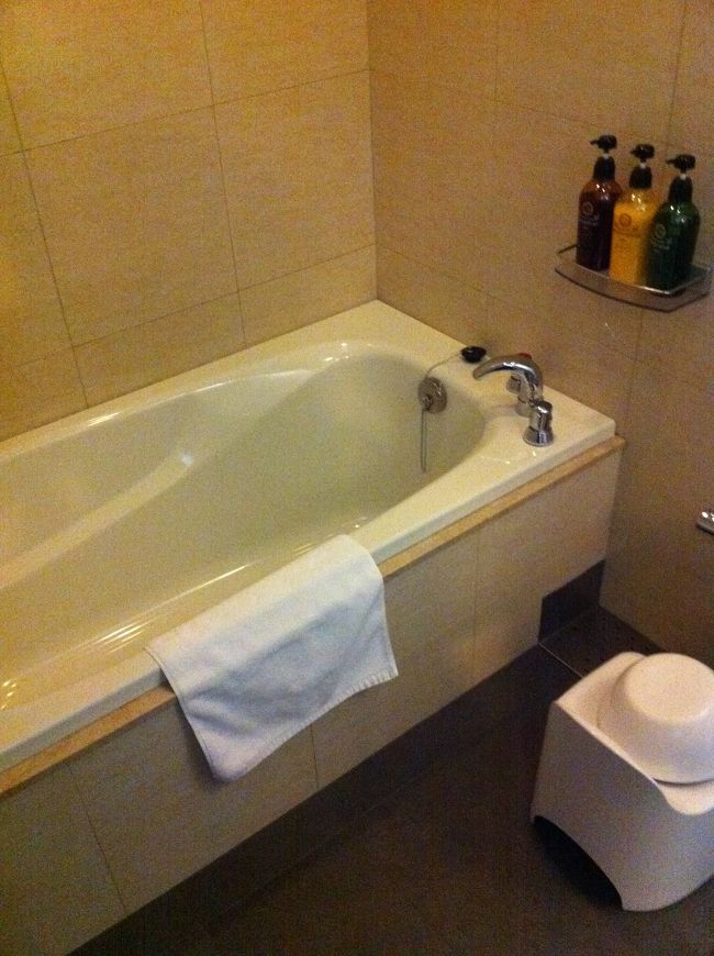 部屋のお風呂もこんな感じ。