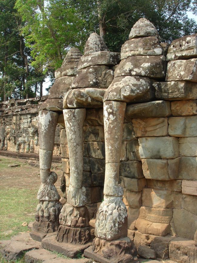 続いて、アンコール・トム内の<br />バプーオン・ピミアナｋス・ライ王のテラス・象のテラスを巡ります。<br />ここの遺跡は門からの参道が結構長いので、炎天下の中歩くのがキツかったです。<br />すぐ車に戻れると思って、帽子かぶらないで水持たないで出たら、軽く熱中症になりかけました・・・<br /><br />