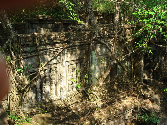 ここも遺跡にガジュマルの根がいたるところに絡み付いています。<br /><br />タ・プロームよりこちらの方がすごいかも。<br /><br />遺跡内は木の通路や階段がちゃんと整備されていて、安全に見て回ることができます。