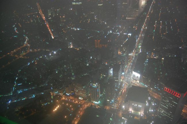 チケットを買うときに「景色見えないけど大丈夫ですか？」と言われていたけれど、曇りのわりに見えた！<br />これが晴れだったらすごいだろうな〜