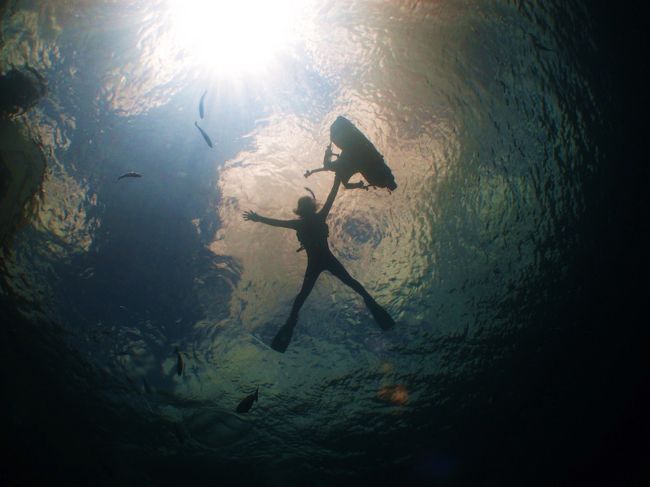 シュノーケリングなのに、ニック君は下に潜って写真を撮ってくれました！