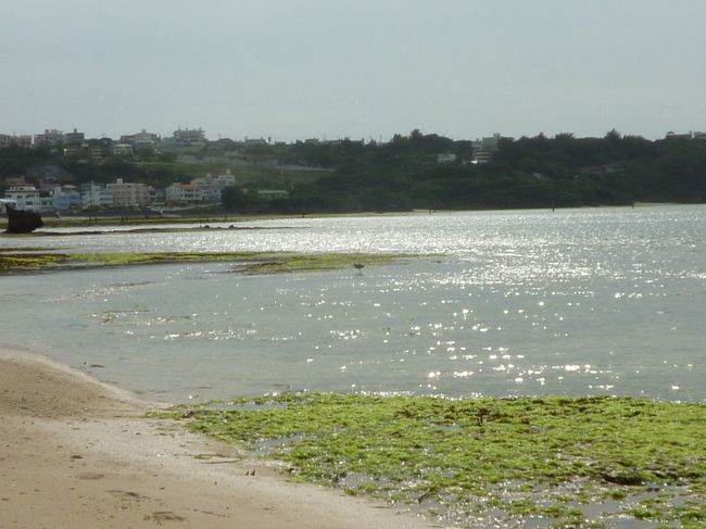 キラキラ光る。。。<br />私だけ専用の浜辺。。。