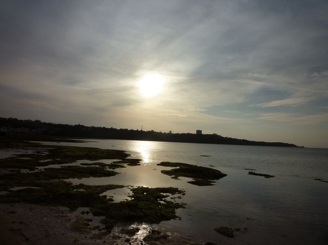 うとうとしてると、夕日が沈み始めた。。。