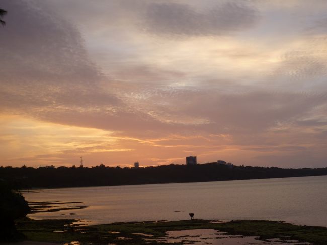 この赤さ、くれない色。<br />自然って素晴しい！！<br />赤のレンズはかけてないですよ！天然色♪