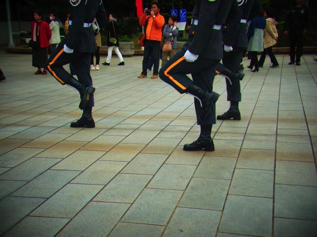 足並み揃い過ぎでしょう！