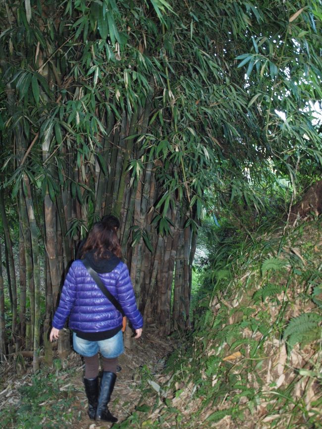 さて、日の出を見終わったところで（って着いたらすでに登ってたけど…）すこし歩いて山を下っていきます。<br />トレッキングっていう本格的なものではなく、ハイキングに毛がはえた程度。でも朝露で下がぬかるんでいるので注意が必要です。<br /><br />カトマンズの中心部はとにかく空気が悪いので、久々にいい空気が吸えて幸せ〜。