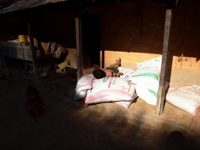 なかなか気持ち良さそうなお昼寝ポイント。